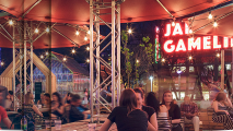 Place Émilie-Gamelin