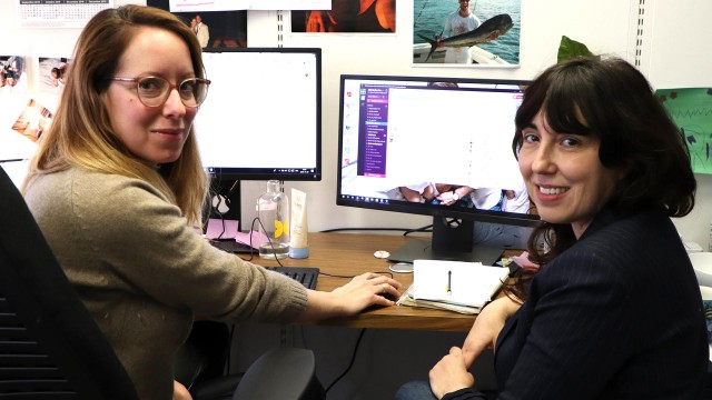 Deux collègues devant un ordinateur